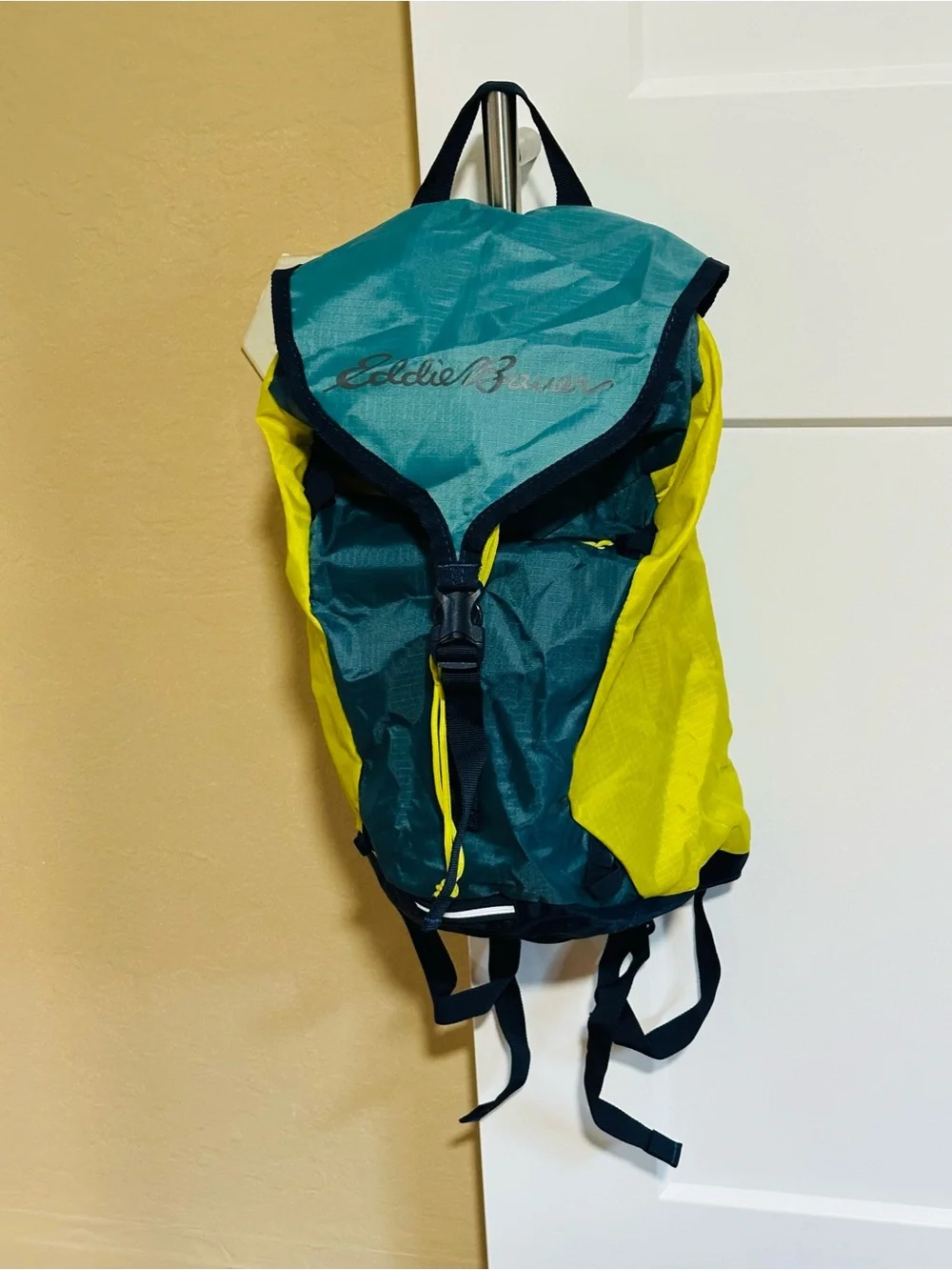 Eddie Bauer Stowaway Packable 20L Backpack